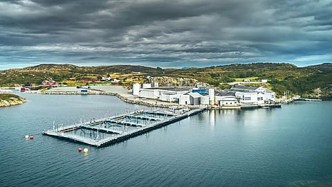 Måsøval production facility