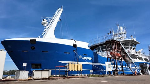 Marlin