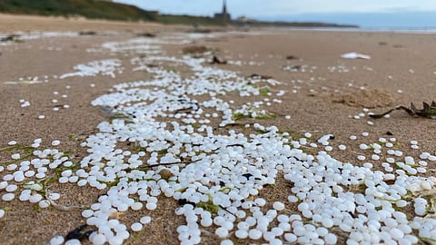 Some of the plastic nurdles that are believed to have originated from a stack of containers that had fallen overboard from the feeder ship BG Orange at the Port of Tyne in the UK on July 19, 2026. The containers fell after BG Orange was accidentally struck by the wind turbine installation vessel Wind Orca as the latter was manoeuvring to depart the port on the said date.