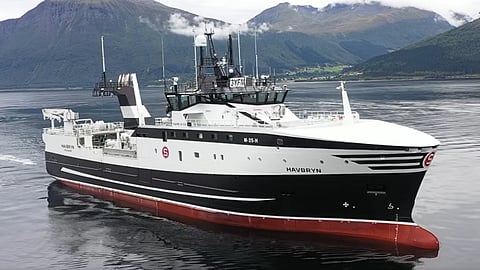 Havbryn