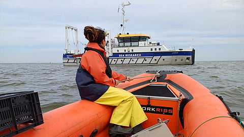 Mudflat sampling in the Wadden Sea
