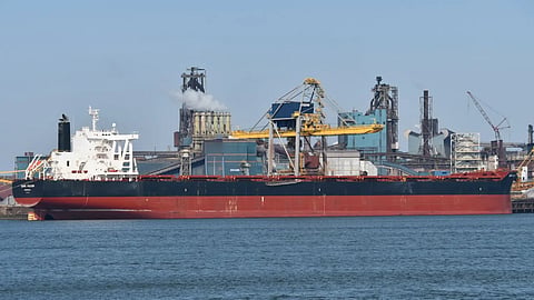 Cape Falcon