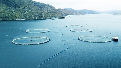 Salmon pens at Mowi Scotland's Loch Seaforth farm in the Outer Hebrides