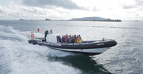 Dolphin-watching RIB delivered to Dingle Bay operator