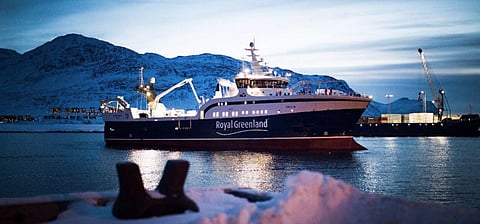 Avataq (Photo: Royal Greenland)