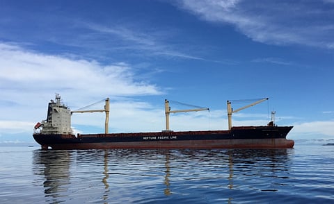A Neptune Pacific Line cargo vessel (Photo: Neptune Pacific Line)