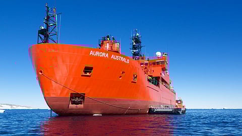 Photo: Australian Antarctic Division/Tony Fleming