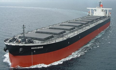 Wakashio (Photo: Nagashiki Shipping)