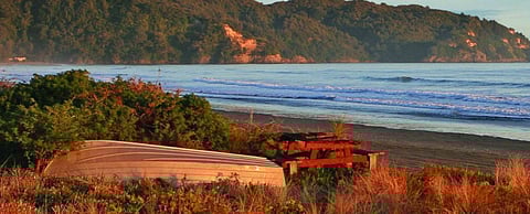 Photo: whakatane.govt.nz