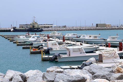 Delma Port (Photo: Abu Dhabi Ports)