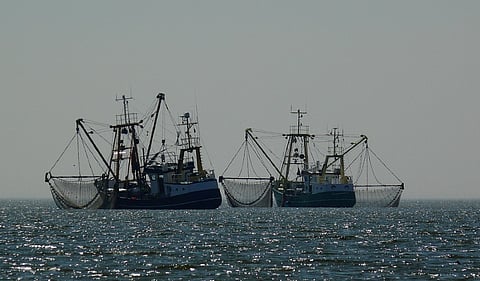 Urgent action needed to reduce overfishing, reform fisheries sector, OECD report warns