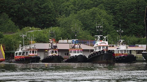 A lineup of Wainwright Marine tugs (Photo: Wainwright Marine Services official Facebook page)
