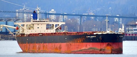 Glovis Donghae, later renamed Maryam, in 2018 (Photo: MarineTraffic.com/rick voice)