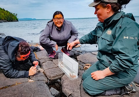 Photo: Ocean Wise official Facebook page