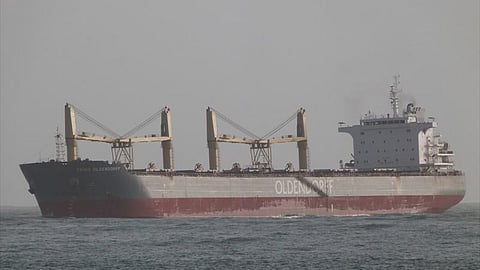 Trina Oldendorff (Photo: MarineTraffic.com/Pedro Amaral)