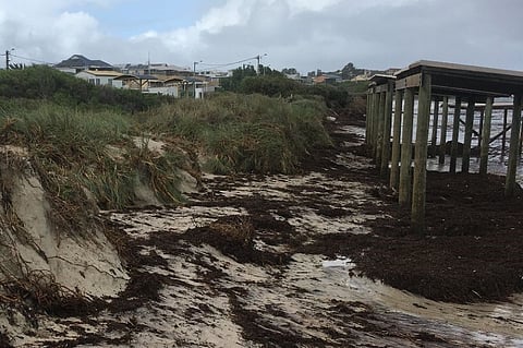 WAFIC seeking members’ urgent input for impact assessment, recovery arrangements following Cyclone Seroja