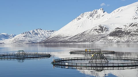 Photo: Aquaculture Stewardship Council