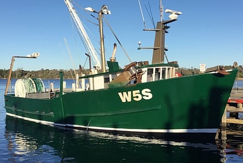 Sandgroper (Photo: Ashworth Maritime Services via ATSB)
