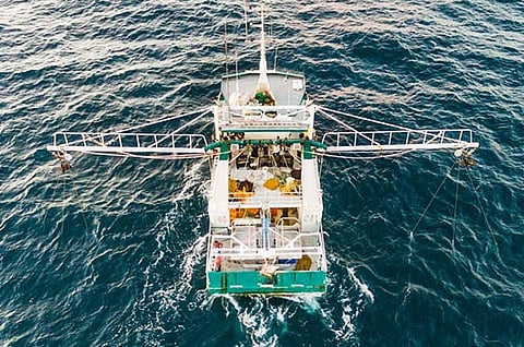 Photo: Sea Harvest Australia