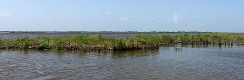 The No Name Bayou Marsh Creation Project site in Cameron Parish, Louisiana (Photo: NOAA Fisheries)
