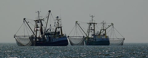 Insurer ends coverage for vessel fleet used in illegal fishing
