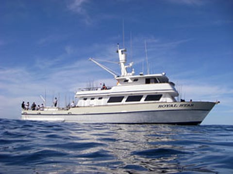 royalstar1w