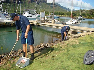 harbourcleanupw