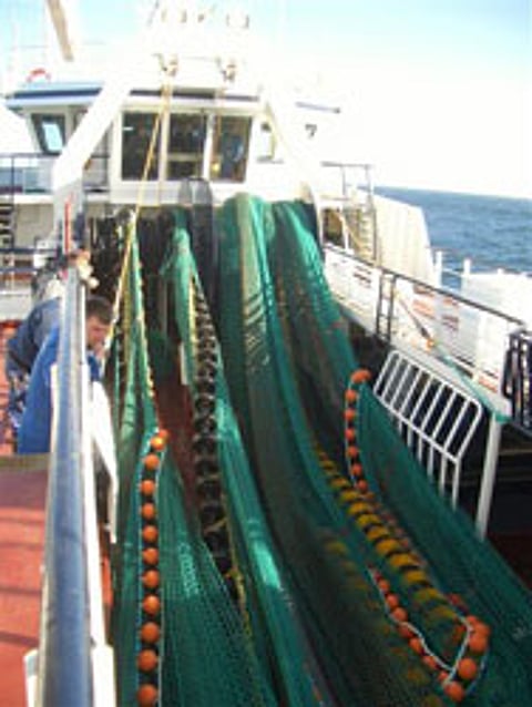trawlernetw