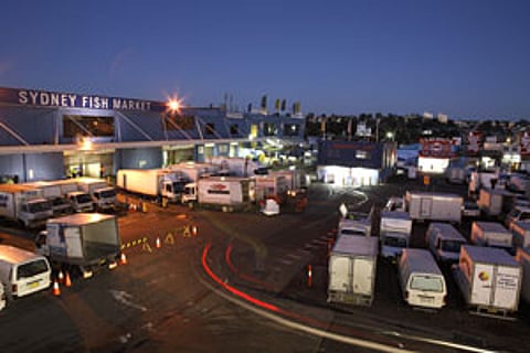 sfm-carpark-night-trucks
