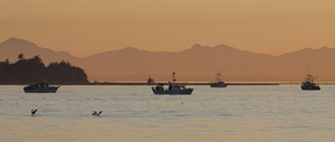 haig_fraser_river_sml