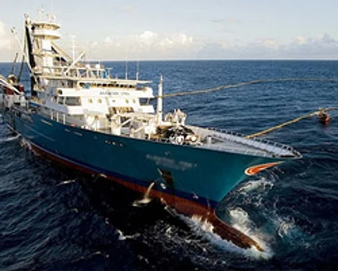 tuna_purse_seiner_f