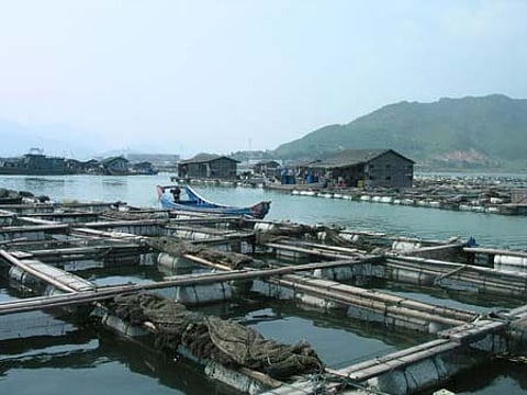 0301aquaculture