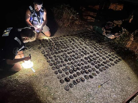 Photo: Victorian Fisheries Authority