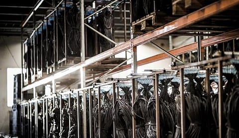 Best Line Supplier – Fiskevegn (Photo: Fiskevegn official Facebook page)