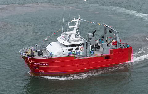 Photo: Contessi Shipyard/Matías Capizzano