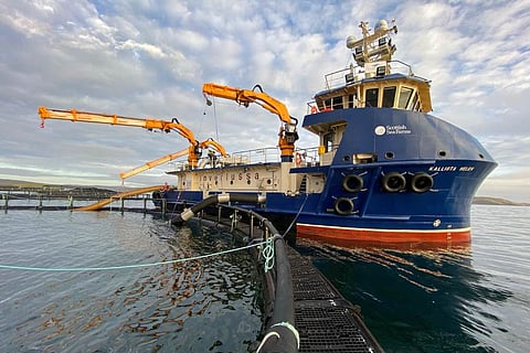 Focus on Fishing and Aquaculture