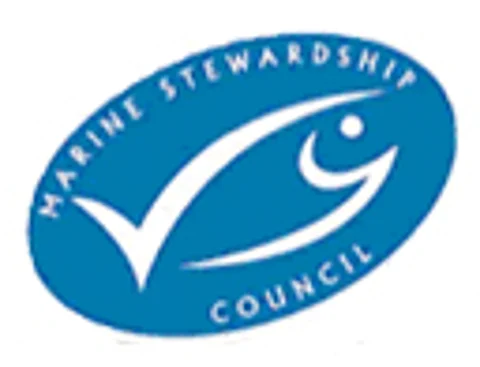 msc