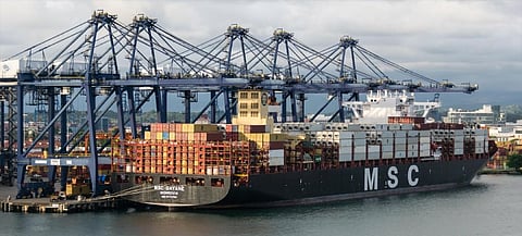MSC Gayane (Photo: MarineTraffic.com/Vagabond Voyager)