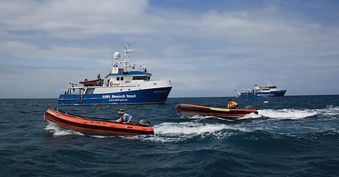 Photo: Australian Institute of Marine Science