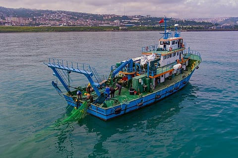Photo: GFCM/Tamer Gunal