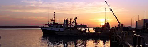 Photo: Northern Territory Seafood Council