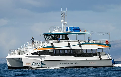 Photo: Pacific Whale Foundation