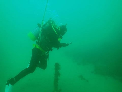A marine archaeologist examines the wreck of  Cheviot in Waterloo Bay, Wilson's Promontory Marine National Park. (Photo: Heritage Victoria/Callum Harvey)