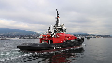 HaiSea Kermode