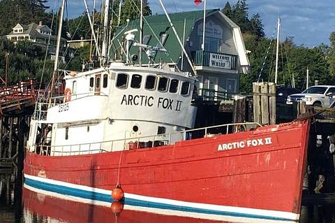 Arctic Fox II (Photo: Tibbie Adams via TSB)