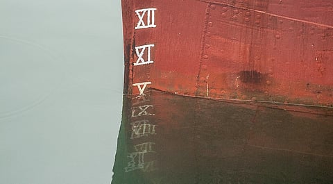 Photo: Paul Van Der Werf / Wikimedia