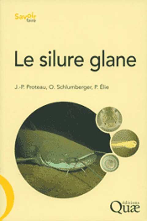 lesilureglane