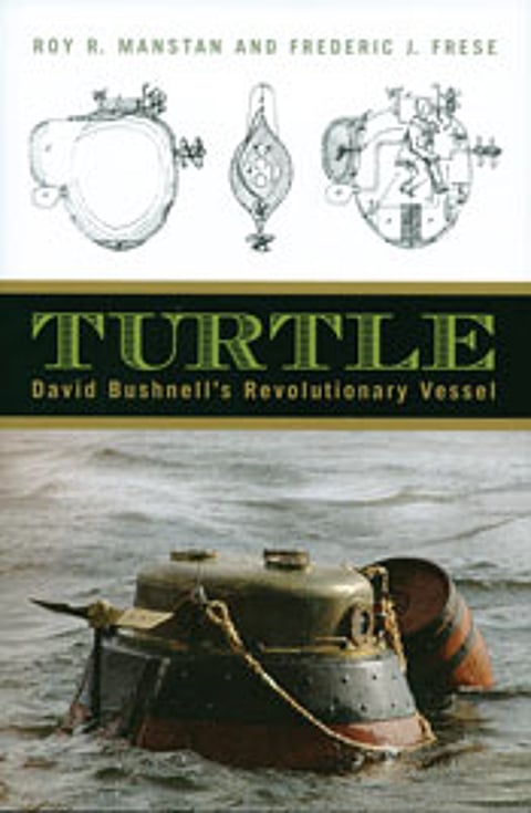 turtle