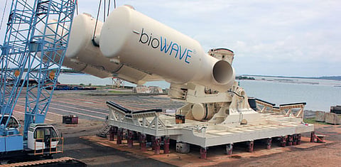 biowave01