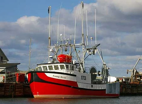 1204trawl